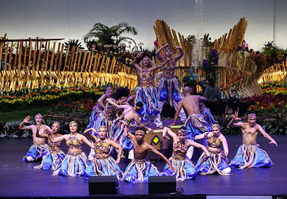 86a Festa das Flores de Joinville inscreve artistas e grupos para a programação cultural